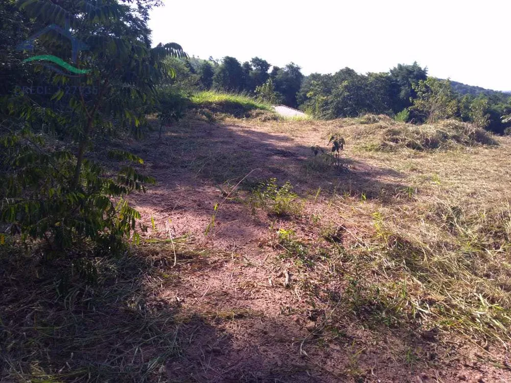 Terreno, 2033 m² - Foto 2