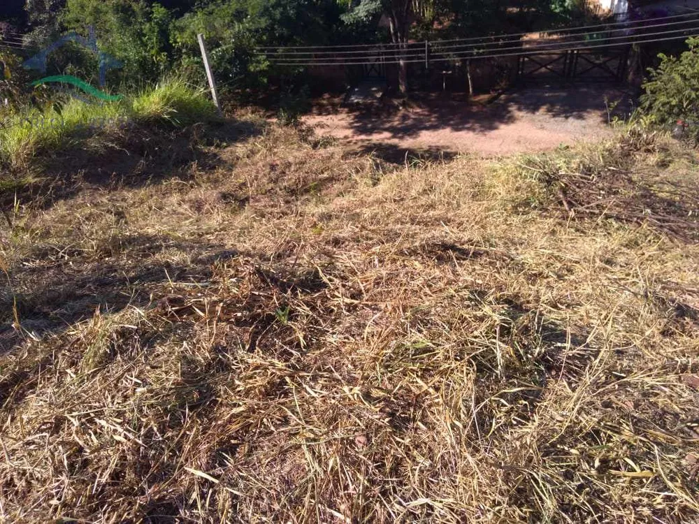 Terreno, 2033 m² - Foto 6