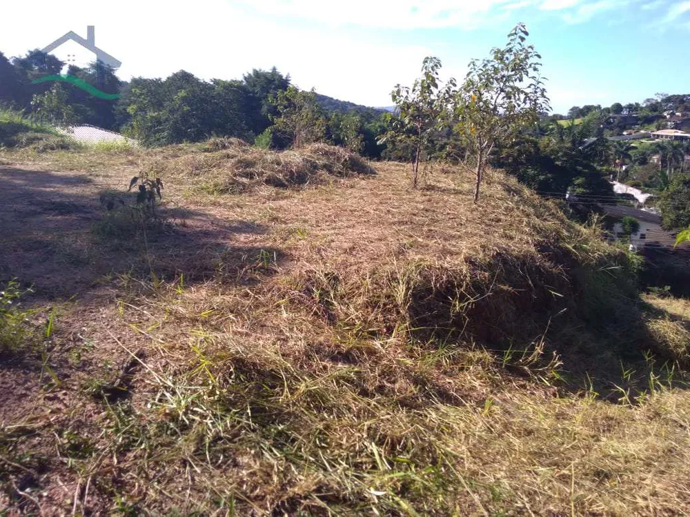Terreno, 2033 m² - Foto 5