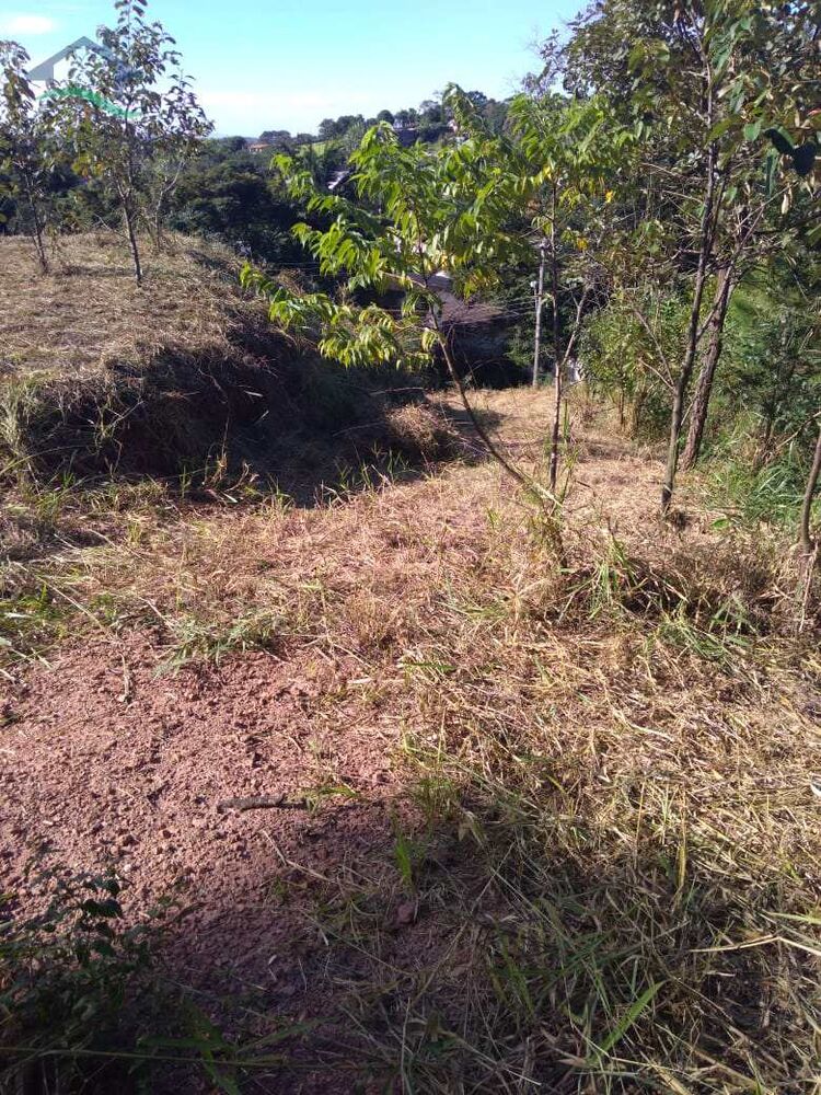 Terreno, 2033 m² - Foto 4