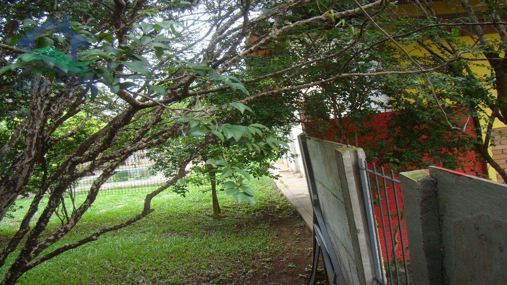 Terreno, 1007 m² - Foto 3