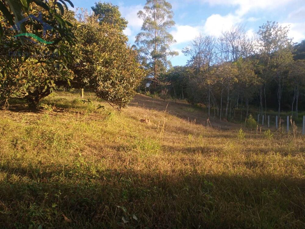 Terreno, 1043 m² - Foto 4