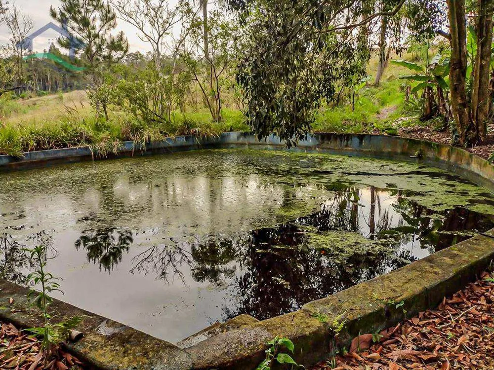 Sítio, 3 quartos, 7 hectares - Foto 7
