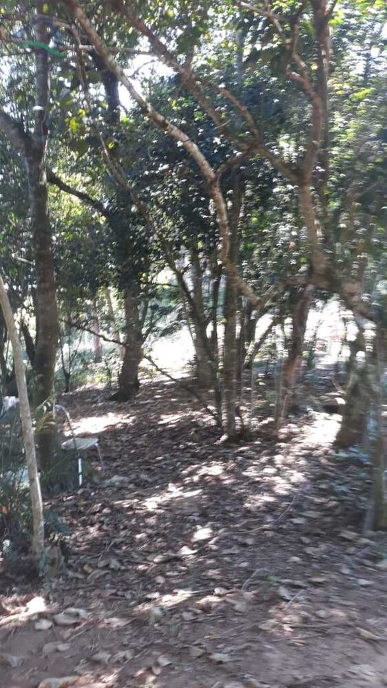 Terreno, 3167 m² - Foto 3