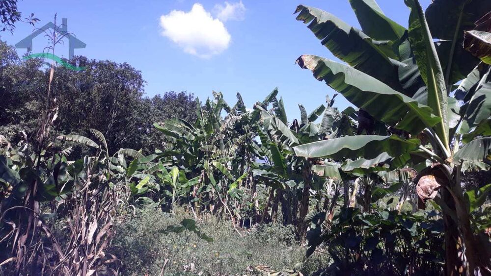 Terreno, 3167 m² - Foto 1