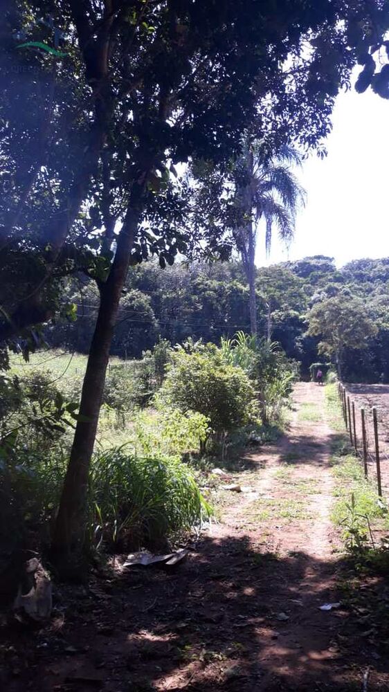 Terreno, 3167 m² - Foto 2