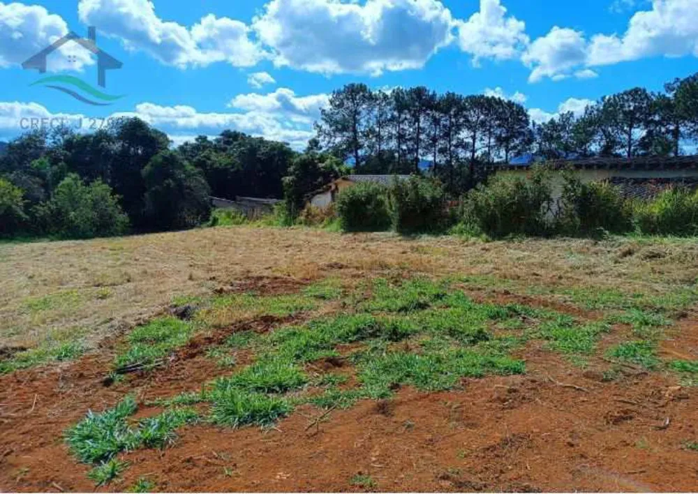 Terreno, 2 hectares - Foto 9