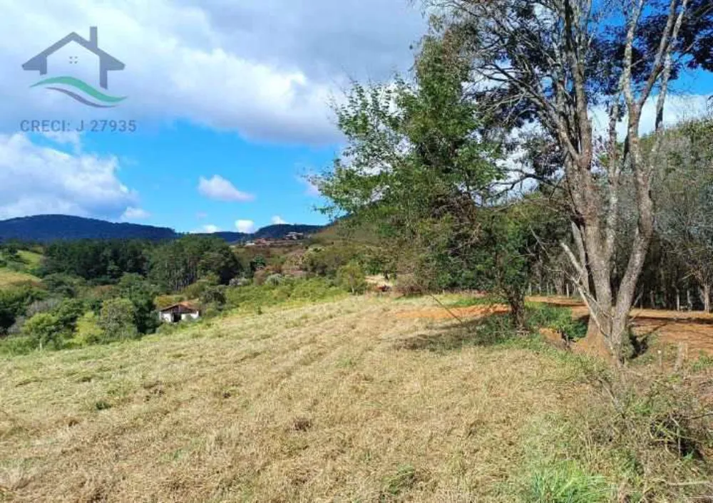 Terreno, 2 hectares - Foto 11