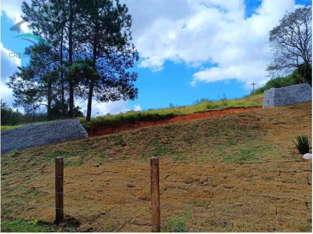 Terreno, 2 hectares - Foto 4