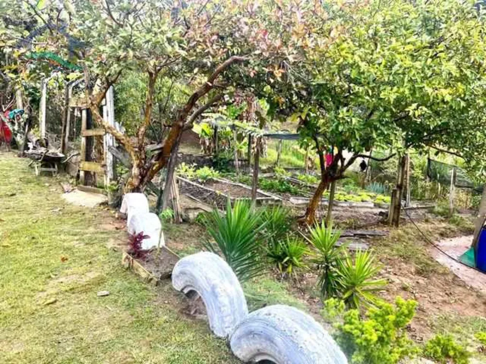 Sítio, 3 quartos, 7 hectares - Foto 11