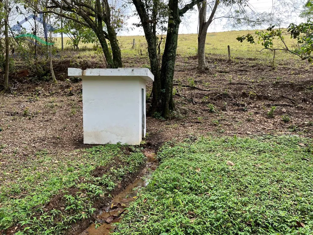 Sítio, 4 quartos, 15 hectares - Foto 12
