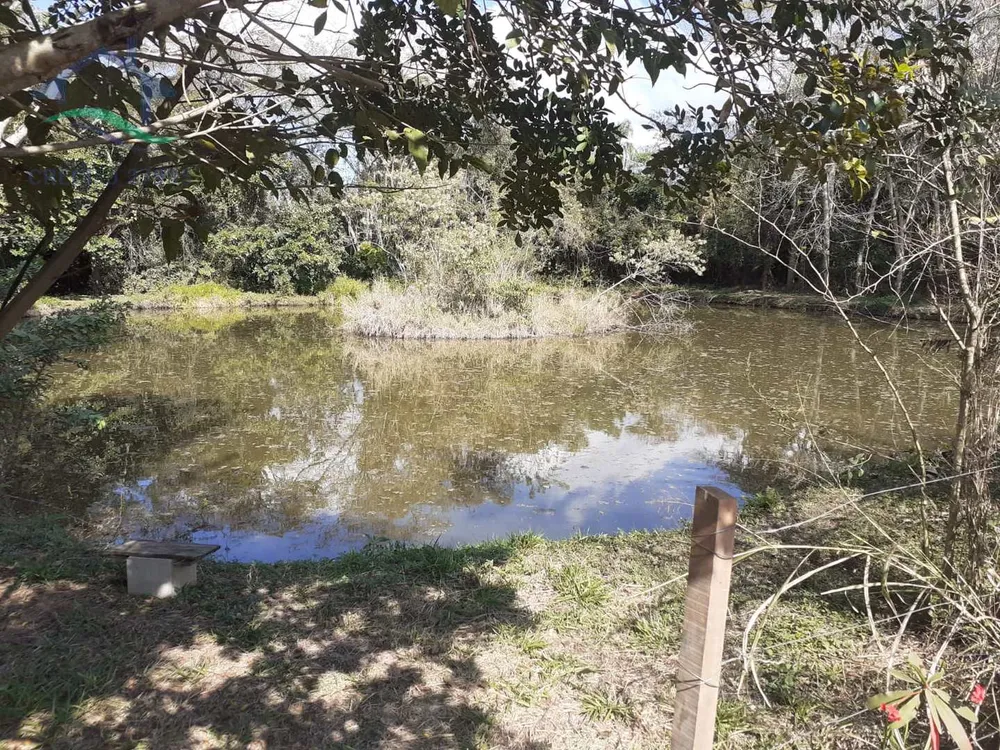 Sítio, 5 quartos, 6 hectares - Foto 12