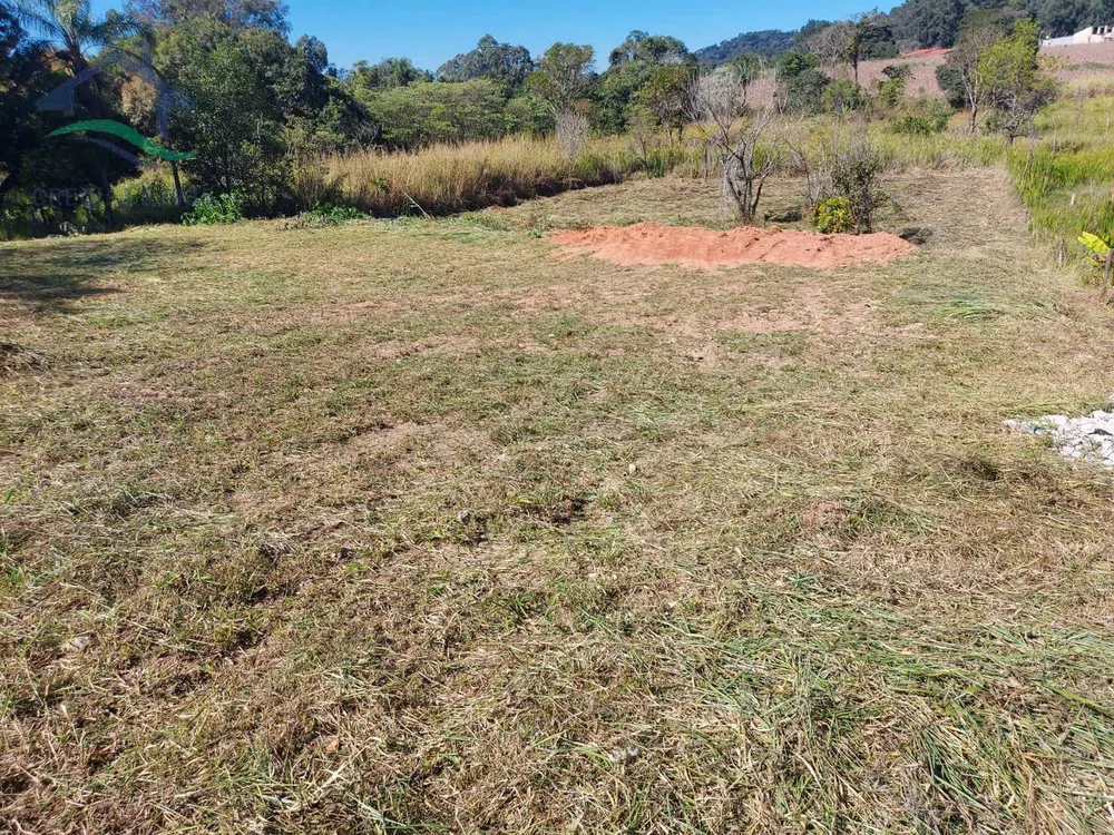Terreno, 4903 m² - Foto 6