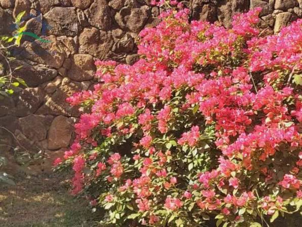 Terreno, 360 m² - Foto 3