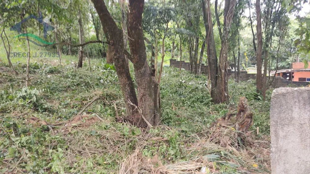 Loteamento e Condomínio à venda, 1000m² - Foto 4