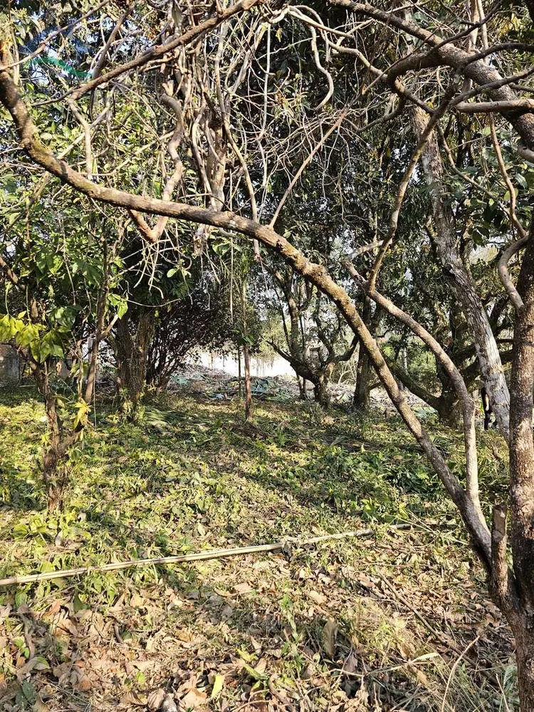 Terreno, 1000 m² - Foto 7
