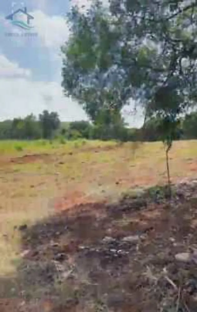 Terreno, 4 hectares - Foto 14