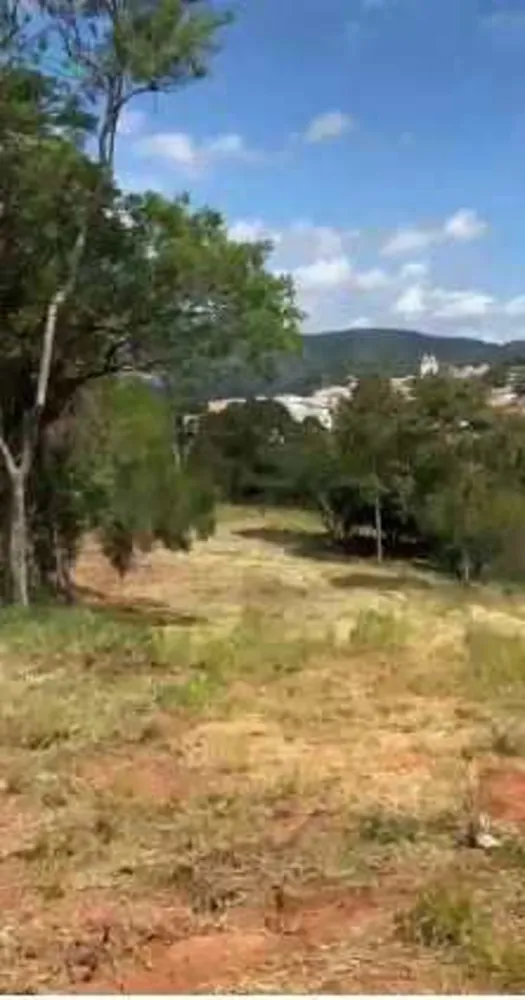 Terreno, 4 hectares - Foto 5