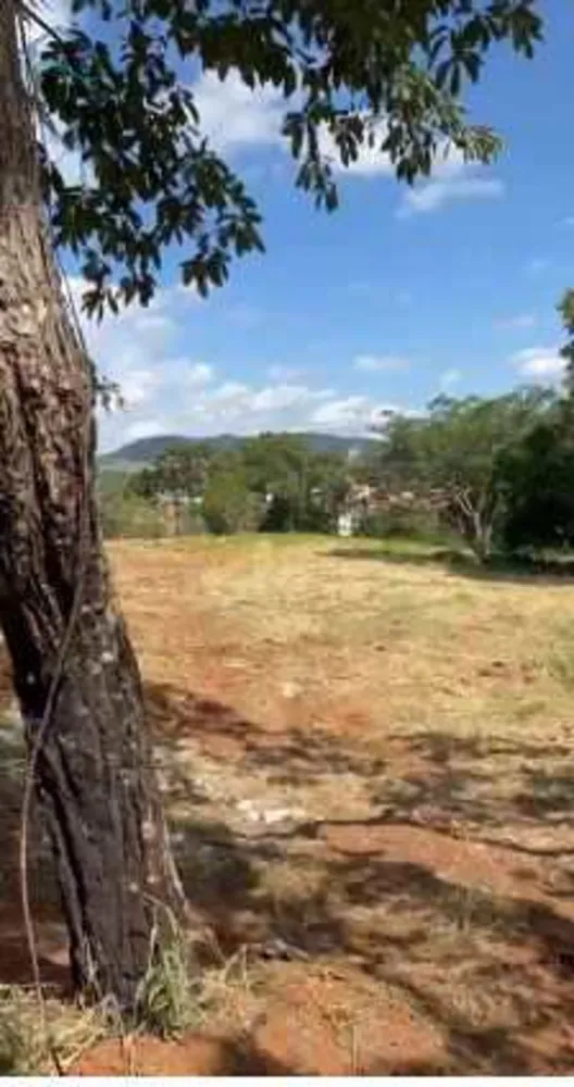 Terreno, 4 hectares - Foto 12