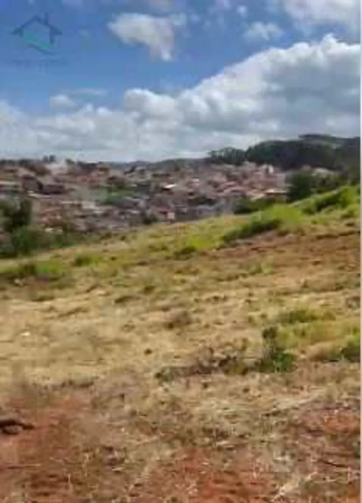 Terreno, 4 hectares - Foto 10