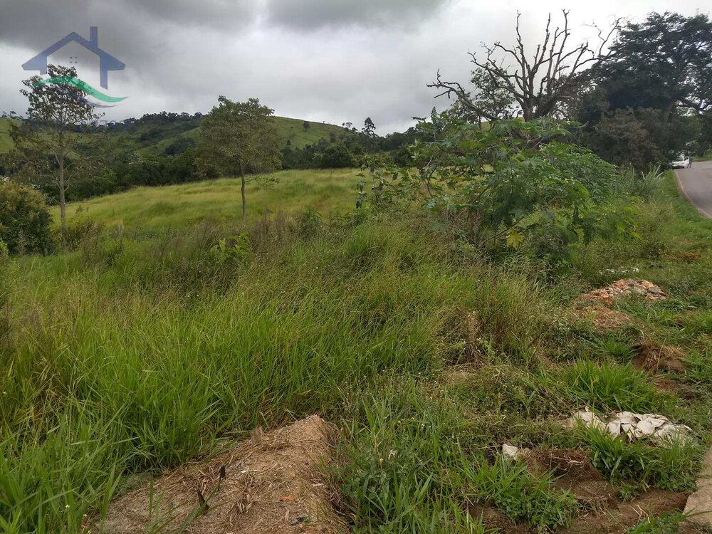 Terreno, 4 hectares - Foto 2