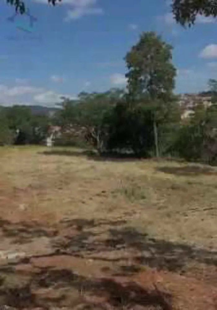 Terreno, 4 hectares - Foto 4