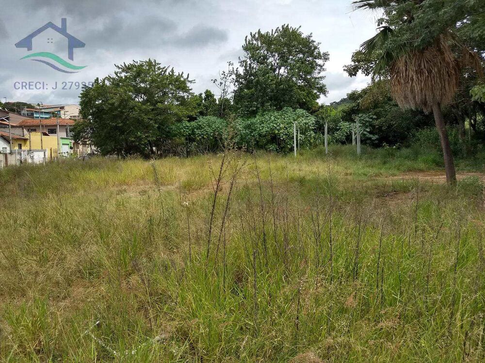 Terreno, 4 hectares - Foto 5