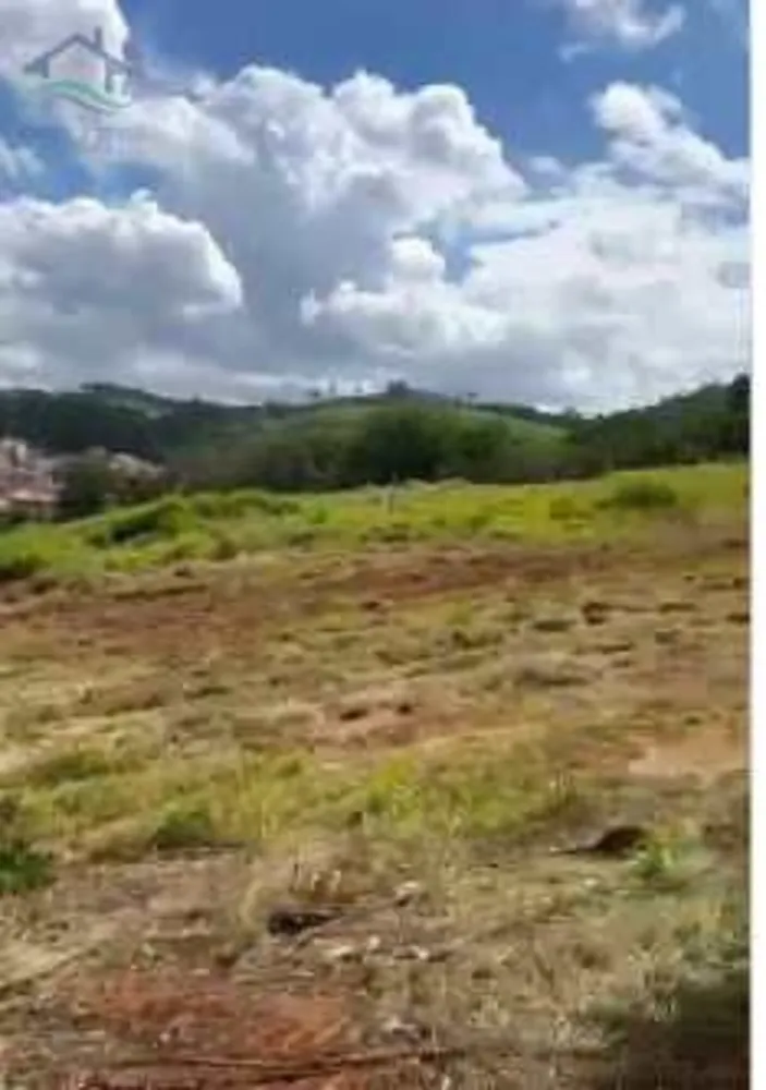 Terreno, 4 hectares - Foto 3