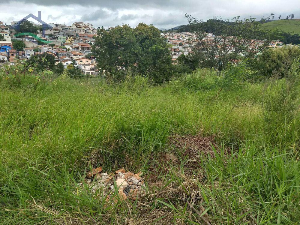 Terreno, 4 hectares - Foto 4