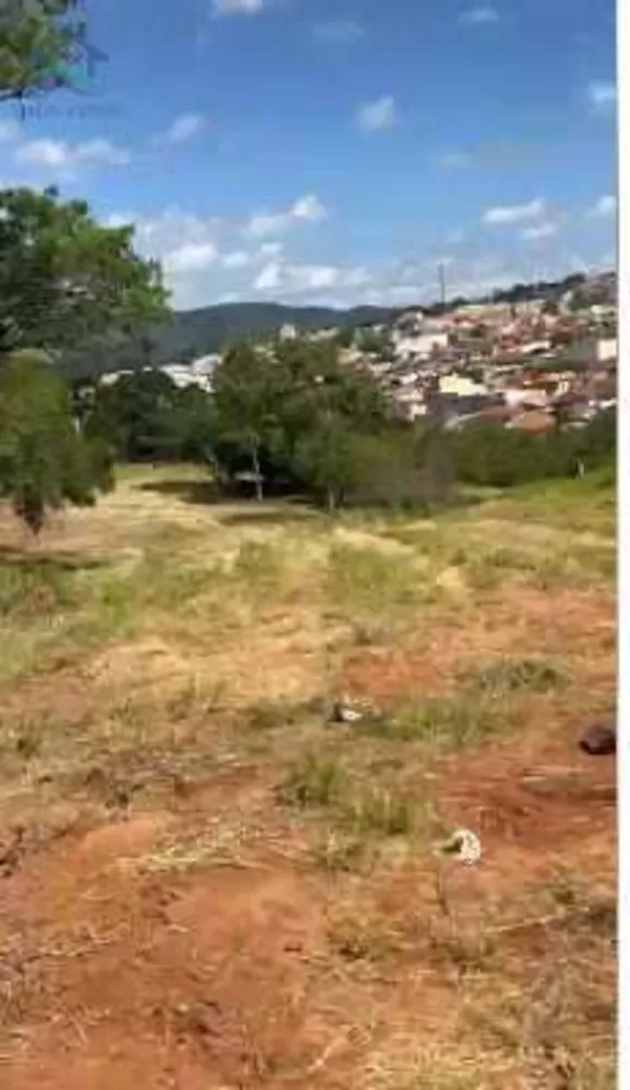 Terreno, 4 hectares - Foto 8