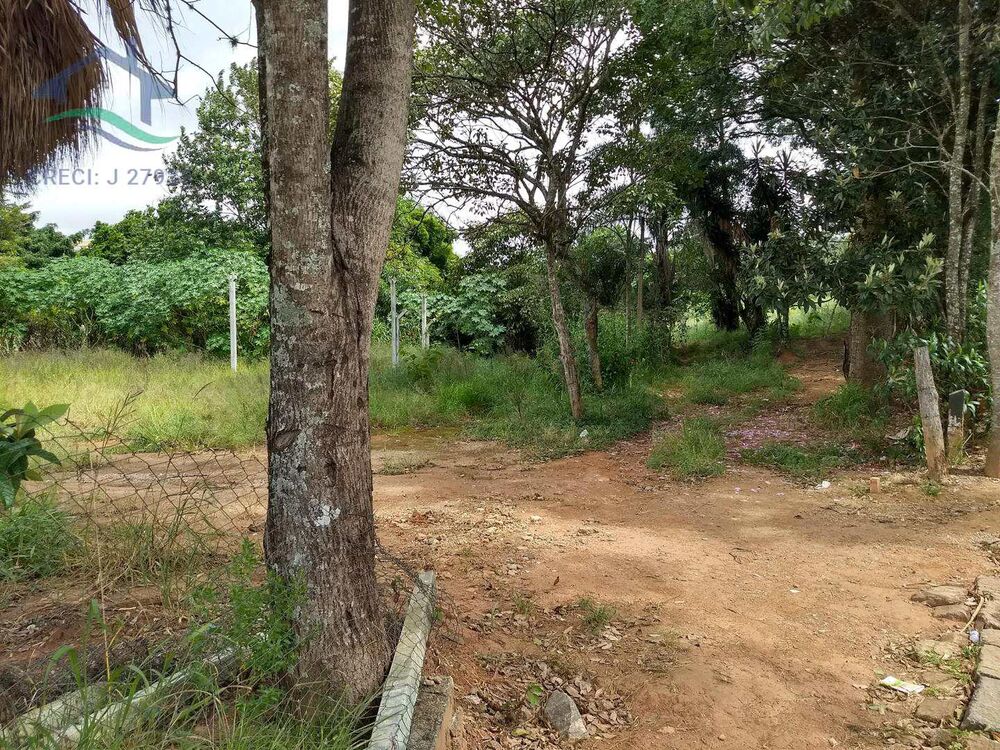 Terreno, 4 hectares - Foto 6