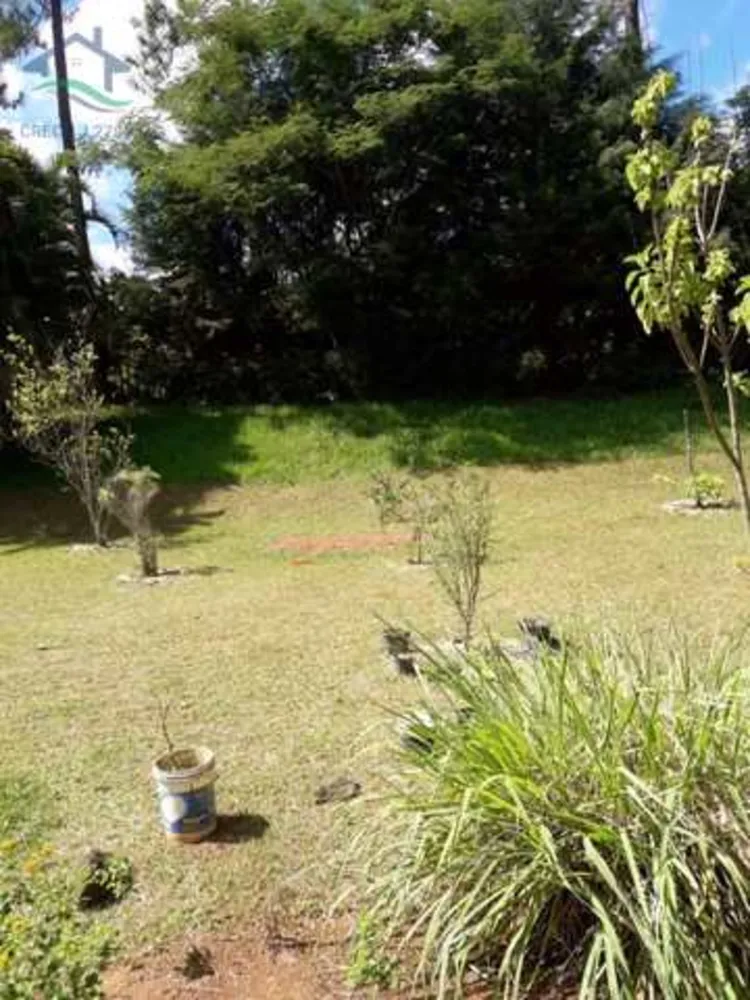 Sítio, 3 quartos, 3 hectares - Foto 11