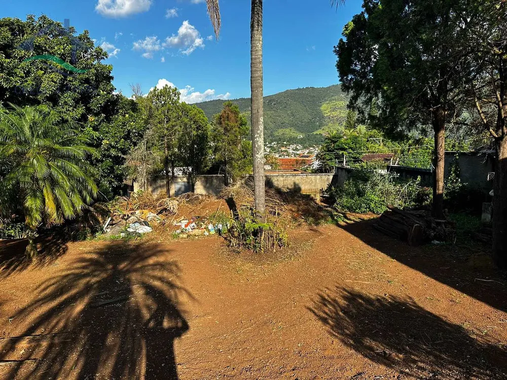 Casa, 4 quartos, 800 m² - Foto 8