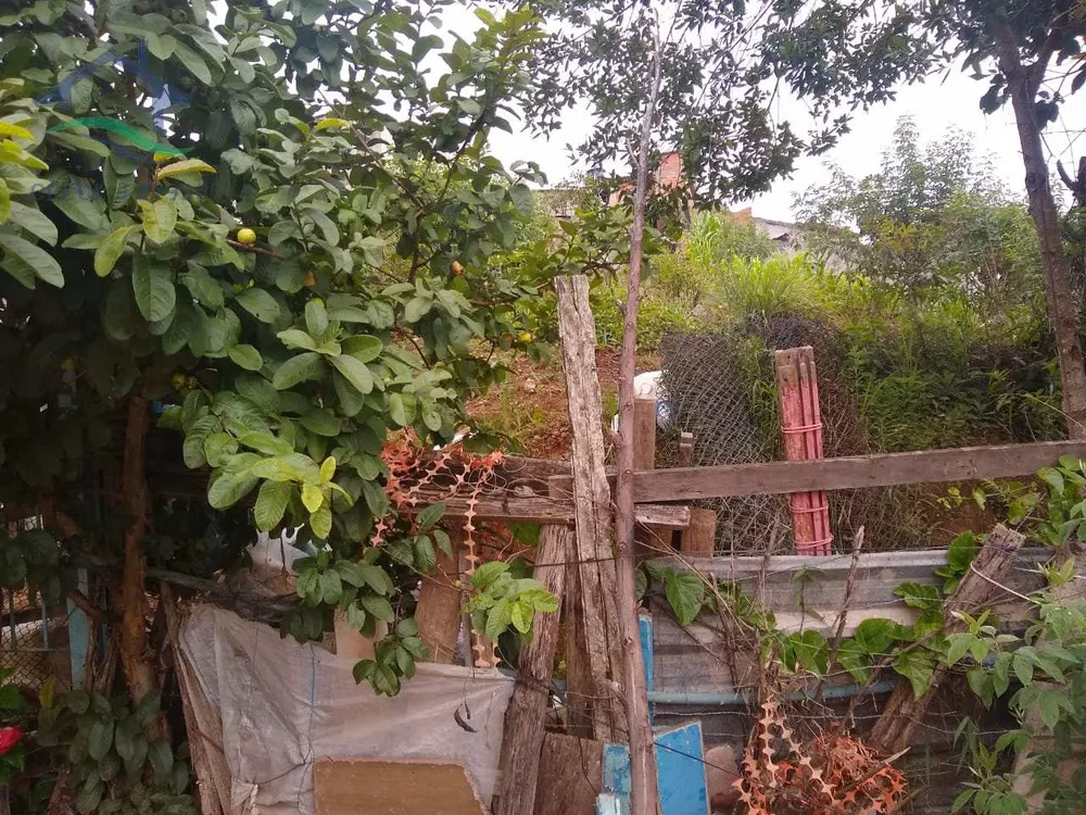 Terreno, 341 m² - Foto 6