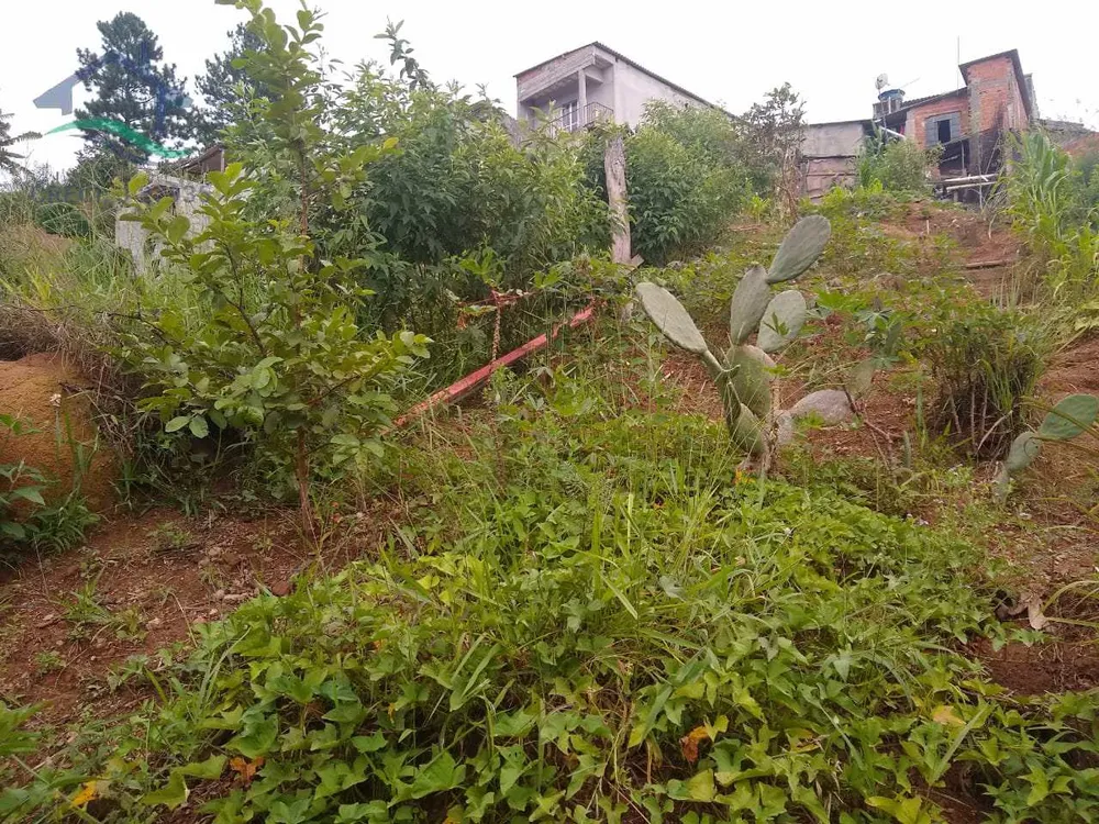 Terreno, 341 m² - Foto 2