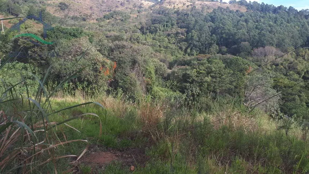 Terreno, 2 hectares - Foto 8