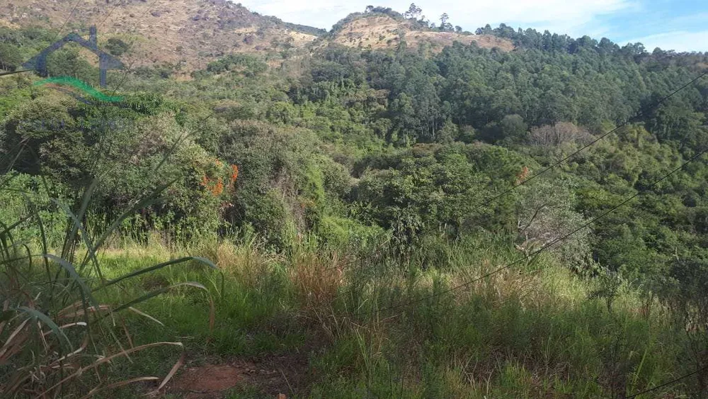 Terreno, 2 hectares - Foto 7