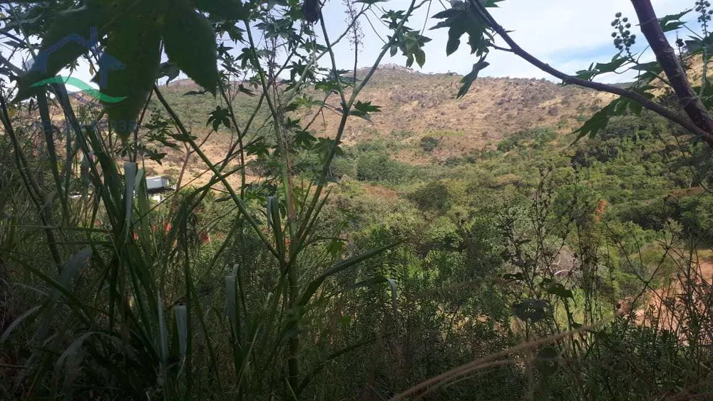 Terreno, 2 hectares - Foto 13