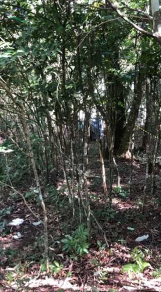 Terreno, 360 m² - Foto 6