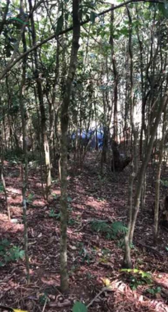 Terreno, 360 m² - Foto 5