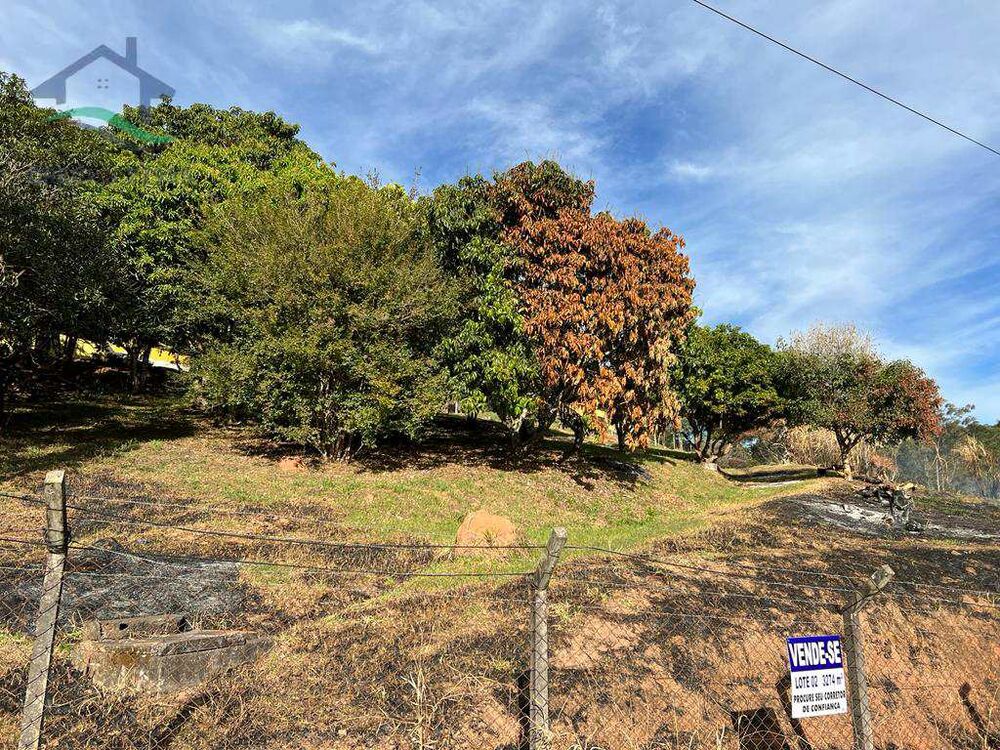 Terreno, 3274 m² - Foto 5