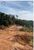 Terreno, 3300 m² - Foto 3