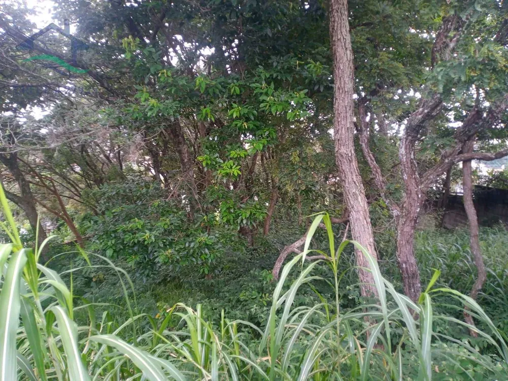 Terreno, 1000 m² - Foto 2