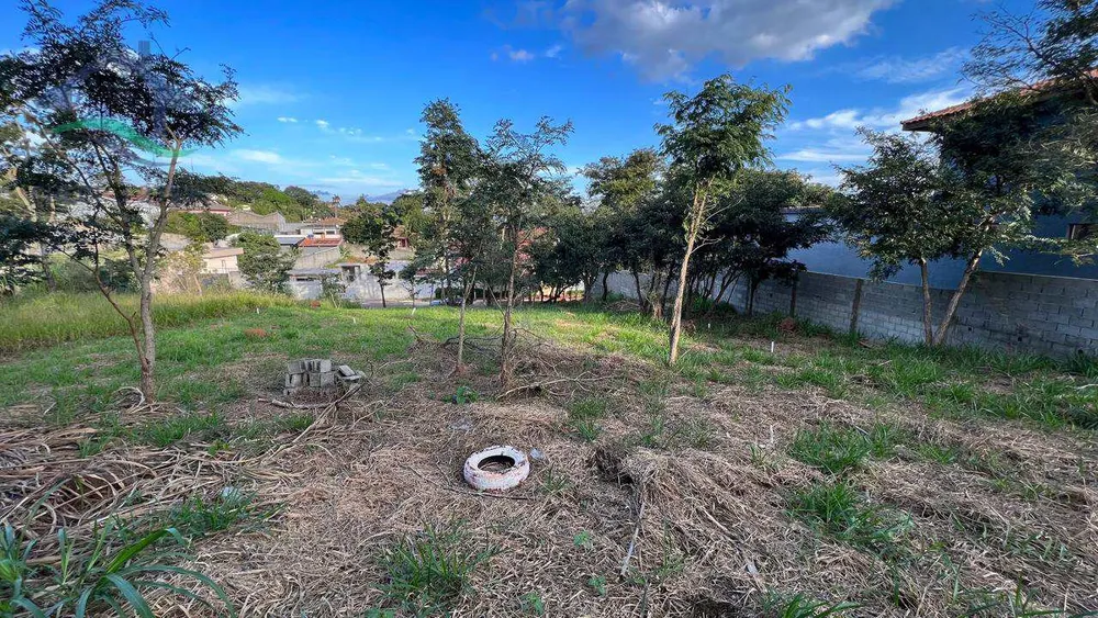 Terreno, 1000 m² - Foto 4