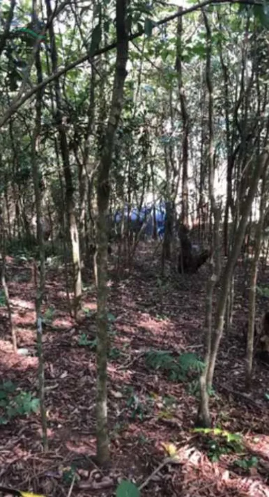 Terreno, 360 m² - Foto 5