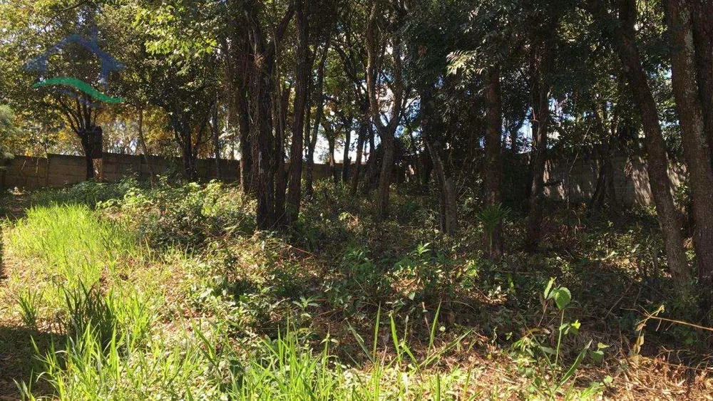 Terreno, 2037 m² - Foto 4