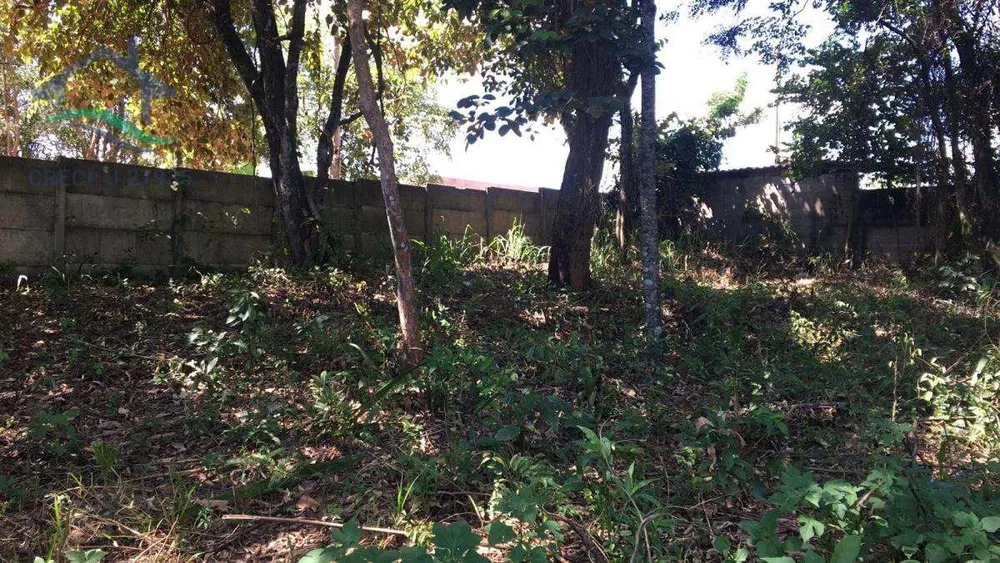 Terreno, 2037 m² - Foto 1