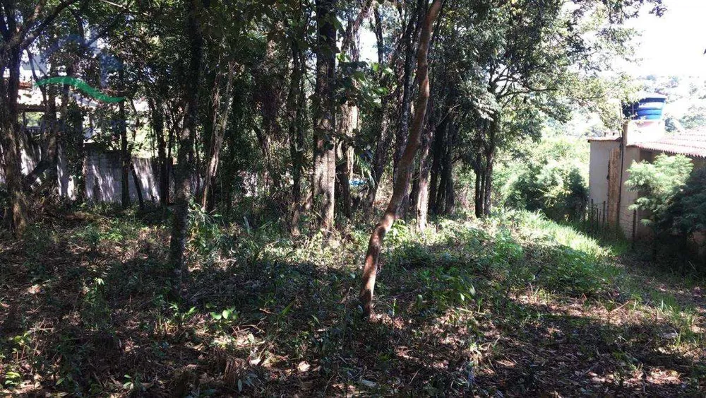 Terreno, 2037 m² - Foto 5