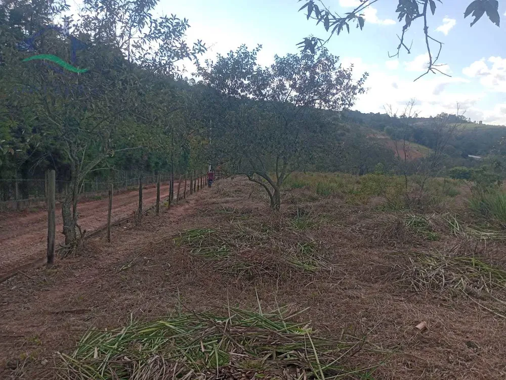 Terreno, 3 hectares - Foto 2