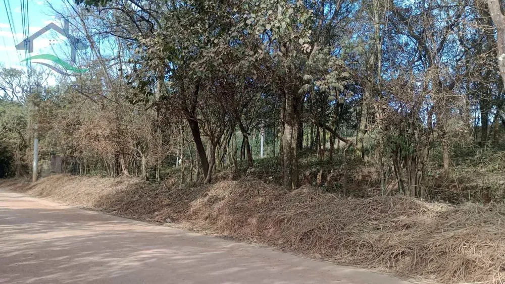 Terreno, 3 hectares - Foto 4